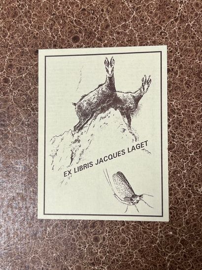 [Bibliography]. [Libri]. CATALOGUE of the...