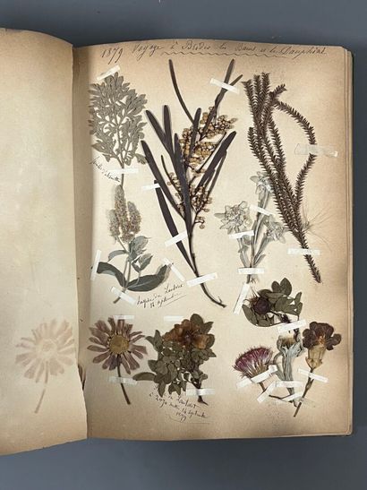 [Herbarium]. [Switzerland, Alps, Provence]....