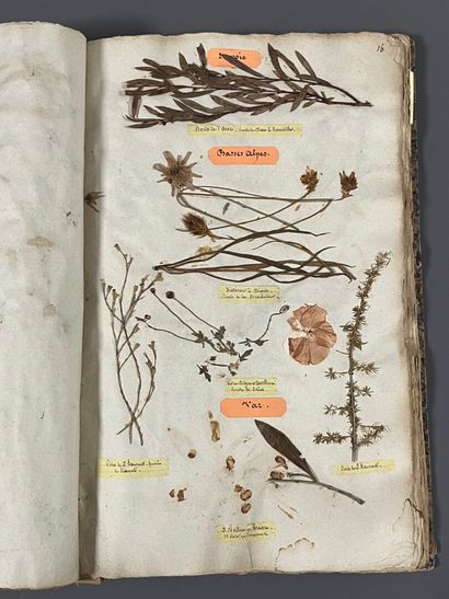[Herbarium]. [Switzerland, Alps, Provence]....