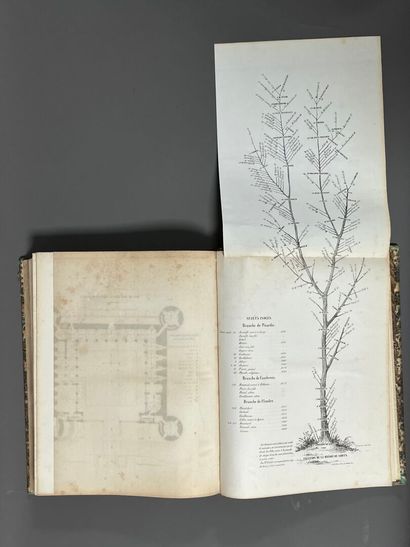 [Genealogy]. LAINÉ (Louis). Généalogie illustrée...