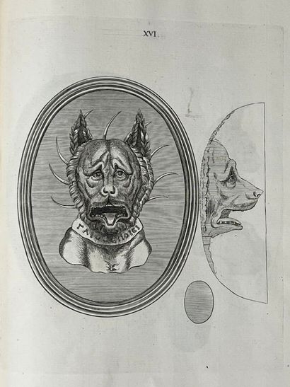 NATTER (Lorenz). Traité de la méthode antique...