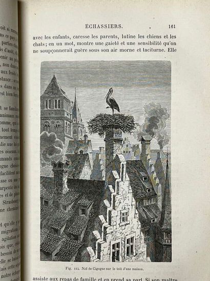FIGUIER (Louis) Les Oiseaux. Paris, Hachette,...