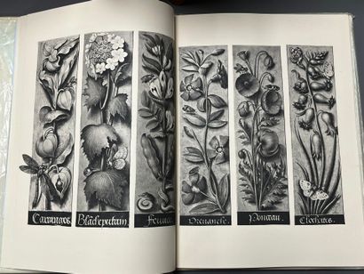 [Documentation]. [Middle Ages]. LOT of documentation...