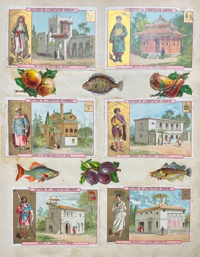 ALBUM DE COLLECTION comprenant diverses images...