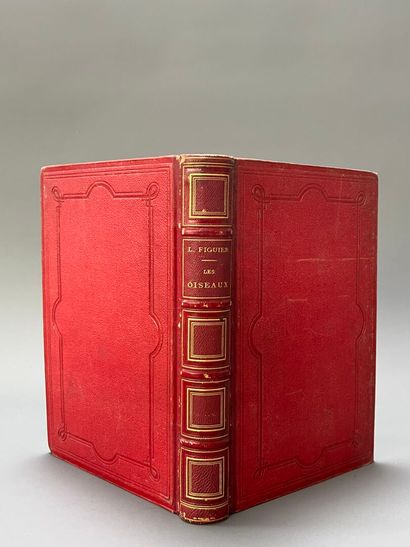 FIGUIER (Louis) Les Oiseaux. Paris, Hachette,...