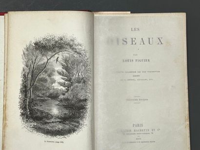 FIGUIER (Louis) Les Oiseaux. Paris, Hachette,...