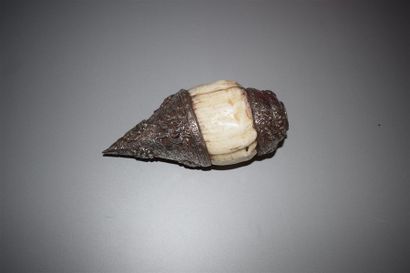 Trompe d'appel «Dungkar «, Tibet, fin du...