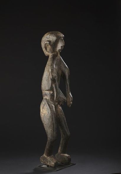 Statue Montol
Nigeria
H. 90 cm AES Bois
La...