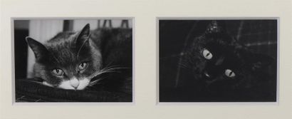 Two autographed photos of Mime Marceau. Framing:...
