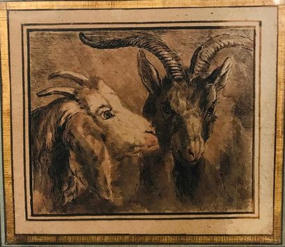 18th century FRENCH school, after HUET Goat...