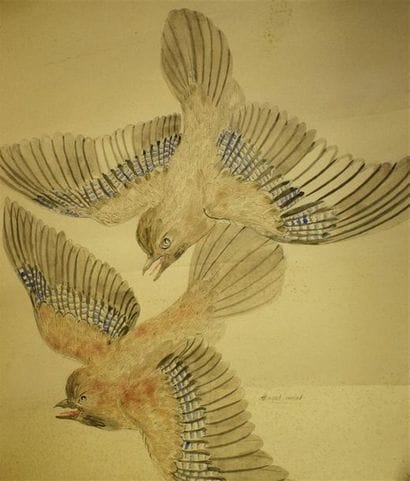 Hélène GASSET-HOUSSET (1889-1966) Birds;...