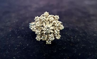 Bague en platine 950 millièmes et or blanc...