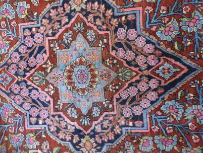 Tapis Sarouk (chaîne et trame en coton, velours...