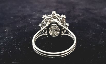Bague en platine 950 millièmes et or blanc...