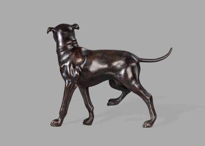 École ITALIENNE du XVIIIème siècle 

Dogue...