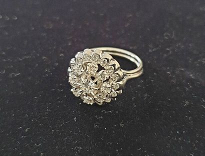 Bague en platine 950 millièmes et or blanc...