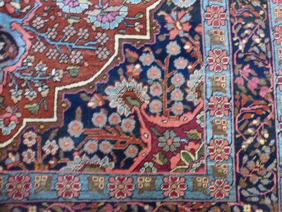 Tapis Sarouk (chaîne et trame en coton, velours...