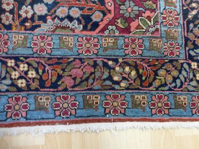 Tapis Sarouk (chaîne et trame en coton, velours...