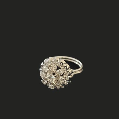 Bague en platine 950 millièmes et or blanc...