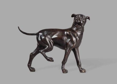 École ITALIENNE du XVIIIème siècle 

Dogue...
