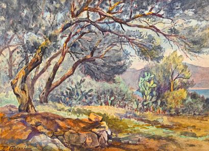 Paul Corizzi (1883-1953)
Balestrino (undergrowth)....