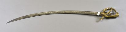 FRANCE

Light Cavalry troop saber model An...