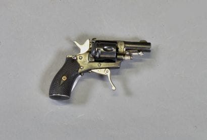 FRANCE

Velodog Revolver 

Entirely bronzed...