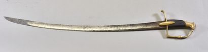 FRANCE

Light cavalry sword 