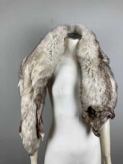 ANONYME

Etole en renard blanc argenté avec...