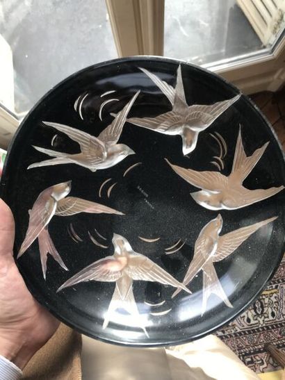 SABINO

Coupe aux hirondelles

Verre 

D....