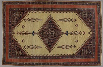 Tapis Ferrahan (chaîne et trame en coton,...