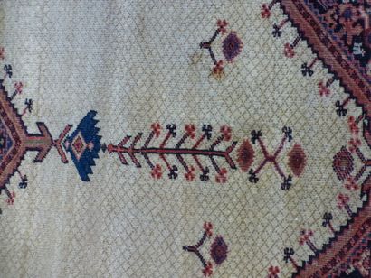 Tapis Ferrahan (chaîne et trame en coton,...