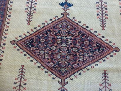 Tapis Ferrahan (chaîne et trame en coton,...