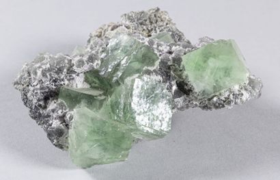 BELLE FLUORINE VERTE CHINE (ex CARRE)(12...