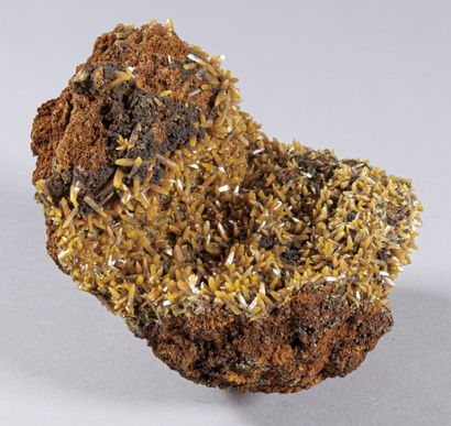 TRES BELLE WULFENITE MAPIMI Mexique (14c...