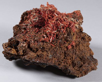 GRANDE CROCOITE TASMANIE (17cm)