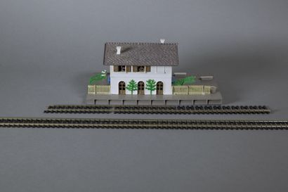 Accessoires (HO). Lot de 38 rails droits...