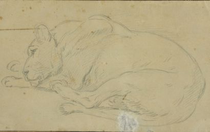 École FRANÇAISE du XIXème siècle
Lionne couchée
Crayon...