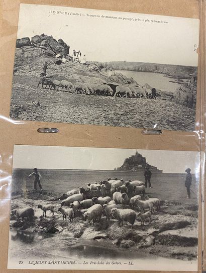 Album de cartes postales dont vieux métiers,...