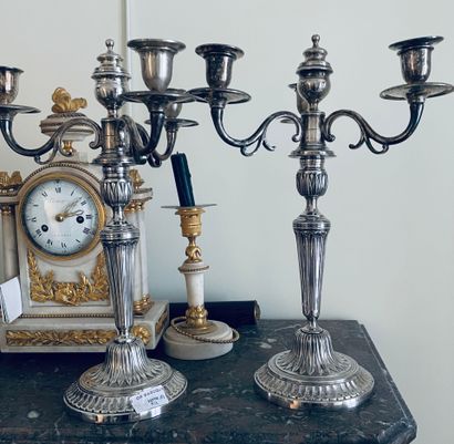 Paire de candélabres en bronze argenté à...