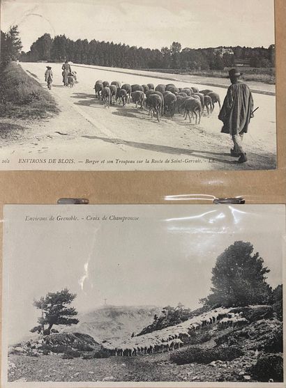 Album de cartes postales dont vieux métiers,...