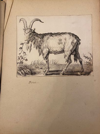 Un lot de gravures et manuscrits dont page...