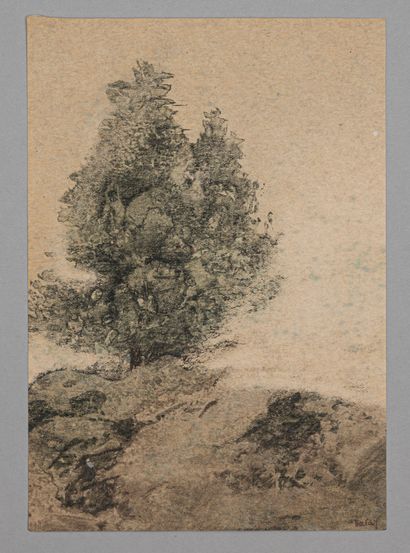 Jean BATAIL (1930-2021)
Paysage à l'arbre
Encre...