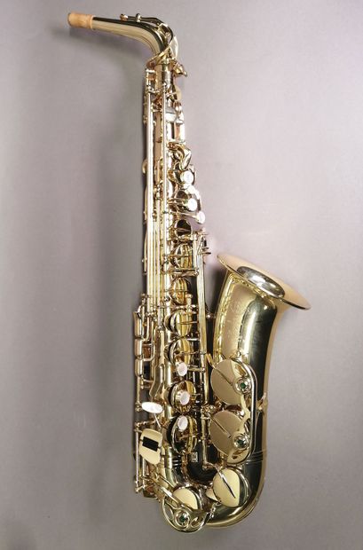 Alto Saxophone Selmer Super action II 80...
