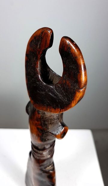Bamiléké, Grassland region, Northwest Cameroon,...