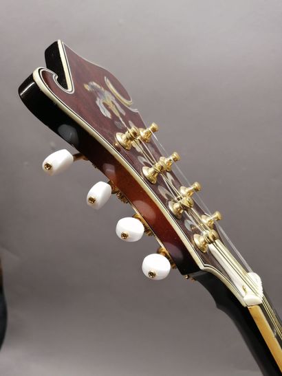 F5 Gibson copy mandolin, made in Asia, contemporary...