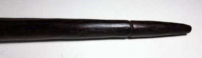 Gurunsi, Burkina Faso, mid 20th century
Long...