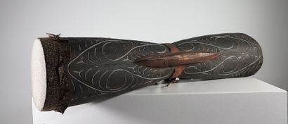 Asmat, Papua, Indonesian province, early...