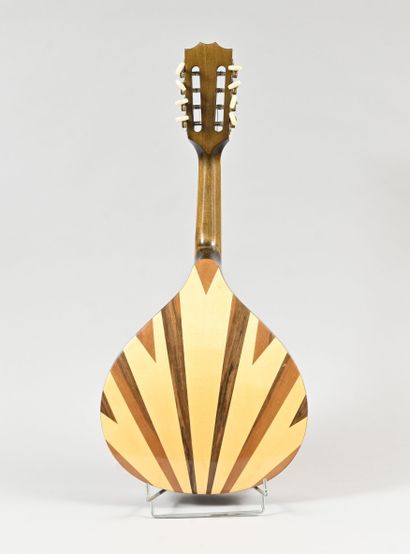 2005 Romanian mandolin by HORA
In its ca...
