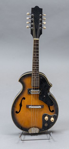 BRUNO electric mandolin (logo missing on...